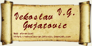 Vekoslav Gnjatović vizit kartica